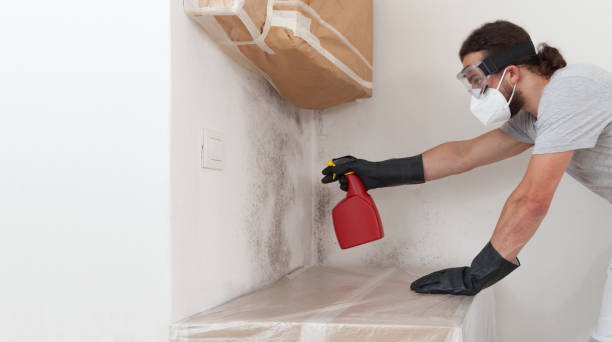 Professional Mold Removal technician working in Swampscott, MA
